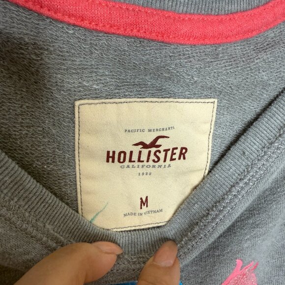 Hollister Gray Graphic Sweatshirt Parrot Design Medium - Picture 4 of 8